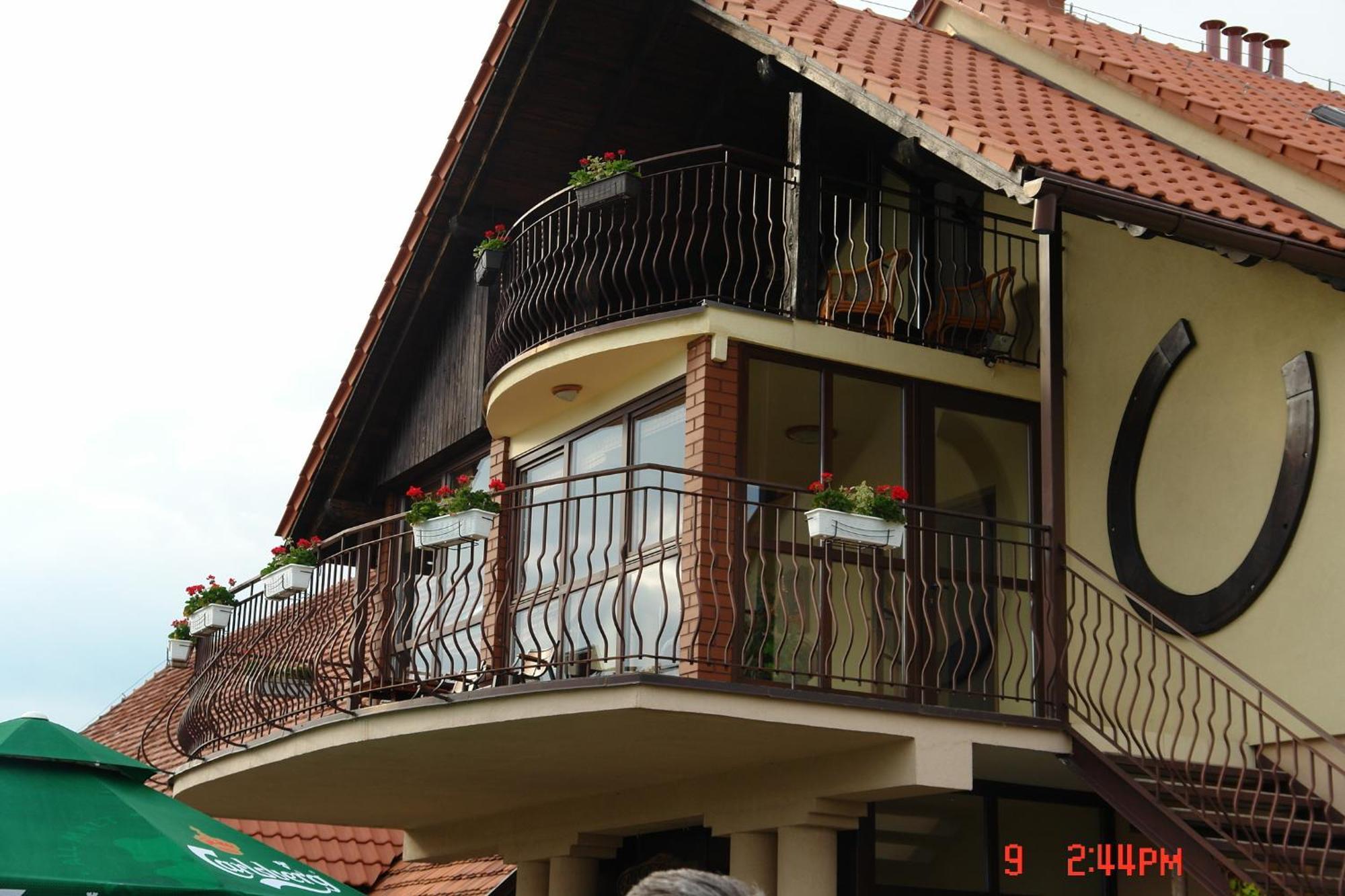 Podkowa Modliszow Villa ภายนอก รูปภาพ
