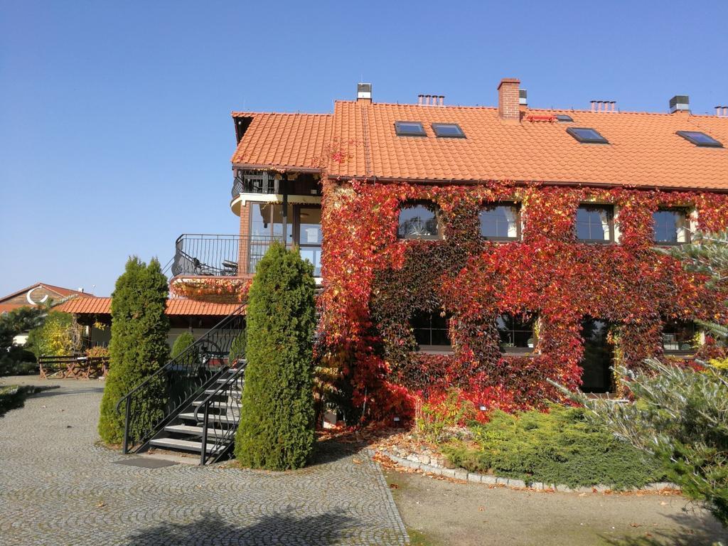 Podkowa Modliszow Villa ภายนอก รูปภาพ